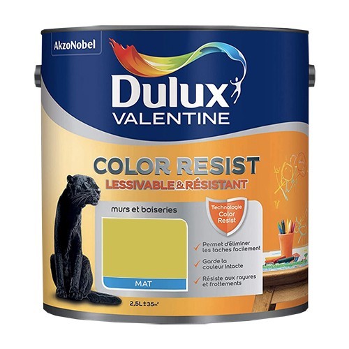 Dulux Valentine Peinture acrylique Color Resist Topaze vert Mat