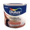 DULUX VALENTINE Couleurs du monde Montagnes Rocheuses Intense