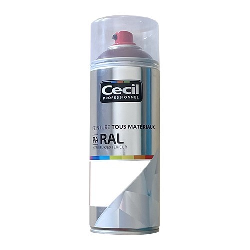 Peinture Aérosol Tous matériaux Cécil Professionnel PA RAL - Blanc mat (RAL 9016)