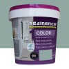 Pot de 0,25L Résine Epoxy RESINENCE Color Celadon