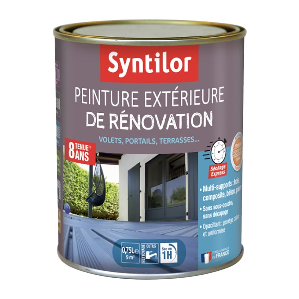 Peinture fer extérieur Syntilor : qualité professionnelle à prix web !