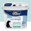 Peinture Carrelage Dulux Valentine Simple & Déco Eau de source 0,5L