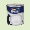 DULUX VALENTINE Crème de couleur Tendrement vert