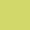 DULUX VALENTINE Peinture acrylique Crème de couleur Vert pomme
