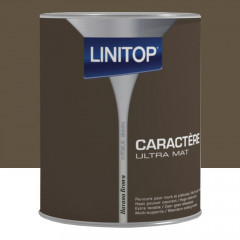 Peinture Murs et plafonds LINITOP Caractère Ultra Mat Havana brown pot