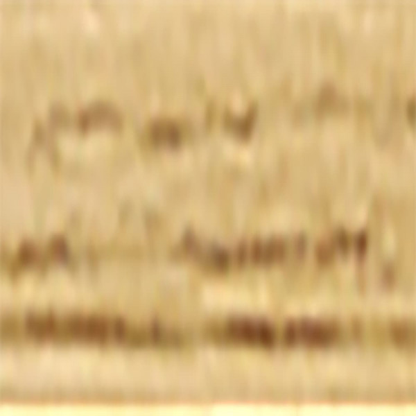 Primaire Fond dur Teinté CECIL PX302 teinte Chêne blond