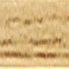 Primaire Fond dur Teinté CECIL PX302 teinte Chêne blond