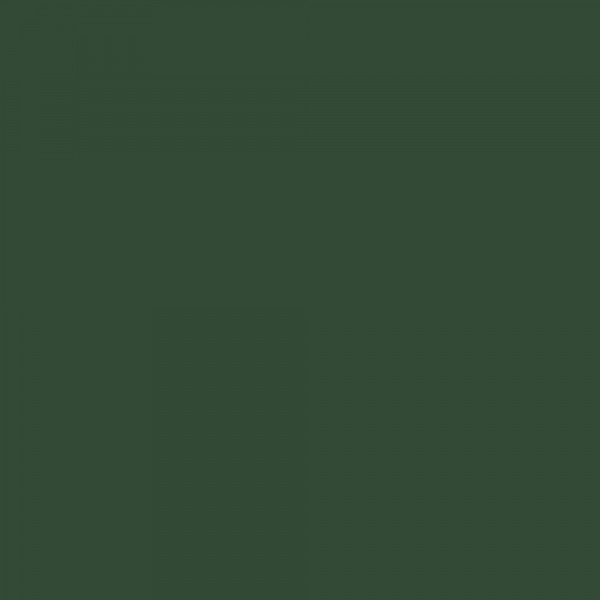 Laque Glycéro Ripolin Satin Vert Basque Ripolin - 3