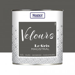 Peinture multi-supports NUANCE Velours Le Gris Magistral - 0,5L
