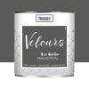 Peinture multi-supports NUANCE Velours Le Gris Magistral - 0,5L