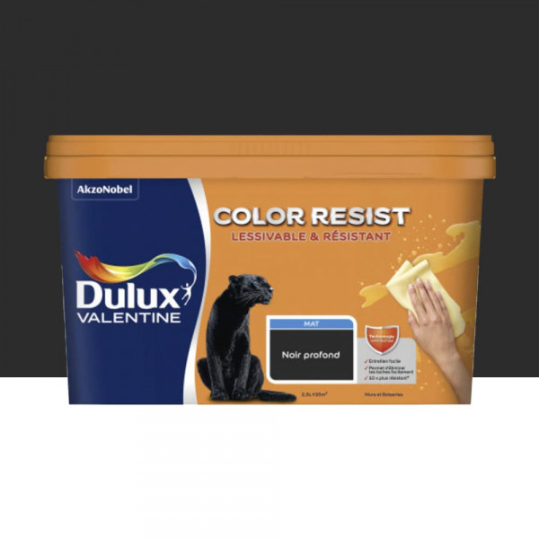 Peinture acrylique Dulux Valentine Color Resist Mat Noir profond - 2,5L