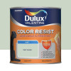 Peinture acrylique Dulux Valentine Color Resist Mat Vert saule - 0,5L