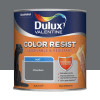 Peinture acrylique Dulux Valentine Color Resist Mat Charbon - 0,5L