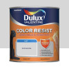 Peinture acrylique Dulux Valentine Color Resist Mat Gris tendre - 0,5L