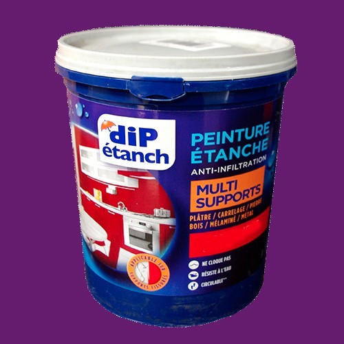 DIP Peinture Étanche Acrylique Multi-Supports Prune