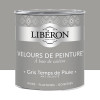 Peinture LIBÉRON Velours de Peinture Gris Temps de Pluie 0,5L
