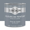 Peinture LIBÉRON Velours de Peinture Fine de Clair 0,5L