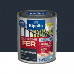 Peinture Fer RIPOLIN Extreme Fer Bi-Activ Gris anthracite - 0,25L