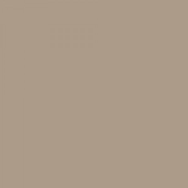 Peinture Bois RIPOLIN eXtrême Beige moka (ral 1019) - couleur