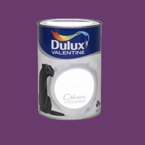 DULUX VALENTINE Peinture acrylique Crème de couleur Prune