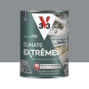 Peinture Fer V33 Climats Extrêmes Brillant Gris galet - 0,25L
