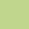 Laque Glycéro Brillante ASTRAL Vert Anis - couleur