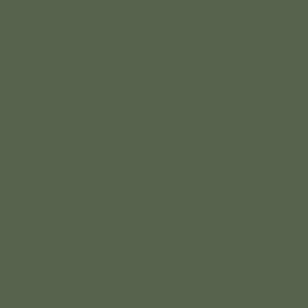 Peinture multi-supports Dulux Valentine Crème de Couleur Finition Mat Vert tropical - couleur