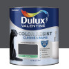 Peinture acrylique Dulux Valentine Color Resist Cuisine & Bains Smoky - 0,75L