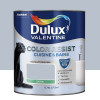 Peinture acrylique Dulux Valentine Color Resist Cuisine & Bains Galet poli - 0,75L