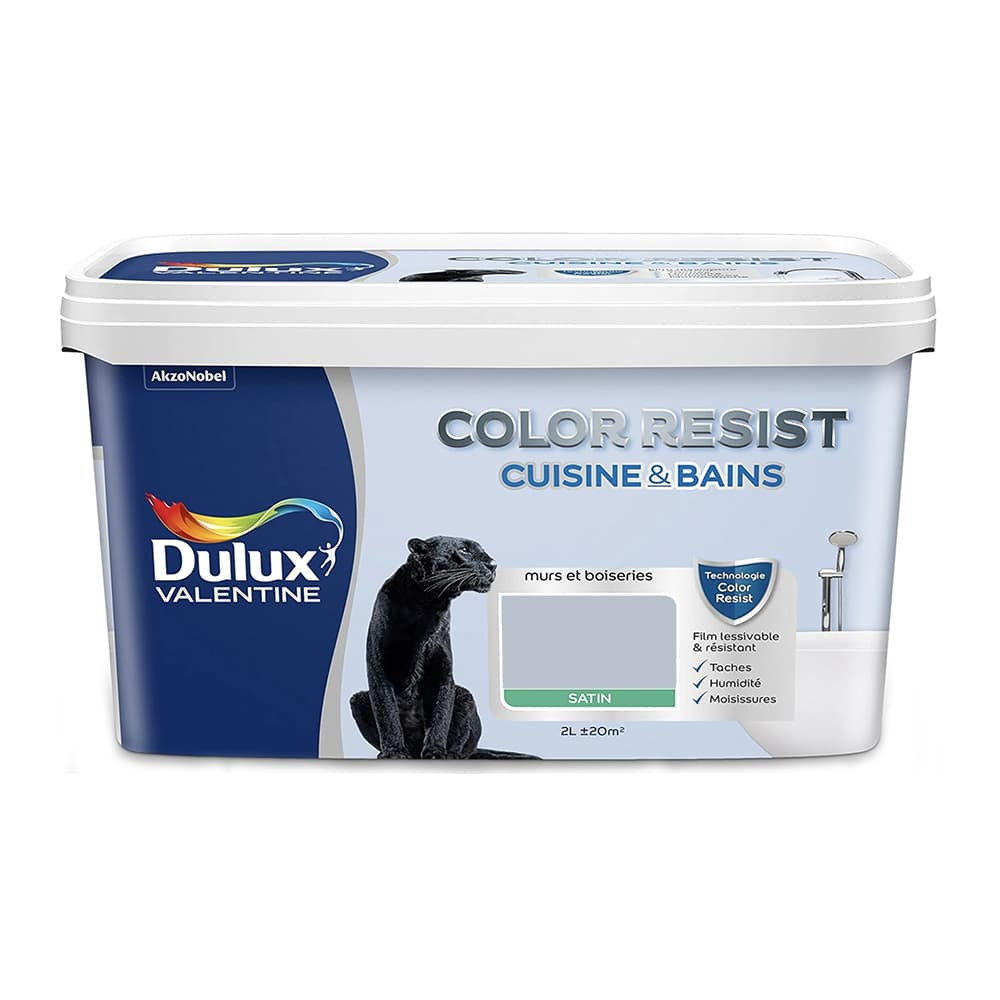 Peinture acrylique Dulux Valentine Color Resist Cuisine & Bains Galet poli - 2L Peinture acrylique Dulux Valentine Color Resist Cuisine & Bains Galet poli - 2L