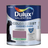 Peinture acrylique Dulux Valentine Color Resist Cuisine & Bains Figue - 0,75L
