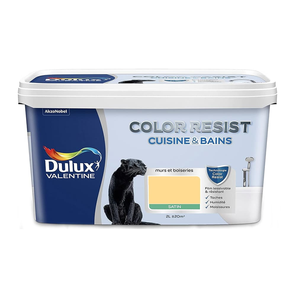 Peinture acrylique Dulux Valentine Color Resist Cuisine & Bains Jaune frais - 2L Peinture acrylique Dulux Valentine Color Resist Cuisine & Bains Jaune frais - 2L