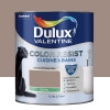 Peinture acrylique Dulux Valentine Color Resist Cuisine & Bains Taupe - 0,75L
