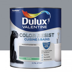 Peinture acrylique Dulux Valentine Color Resist Cuisine & Bains Gris Building - 0,75L