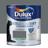 Peinture acrylique Dulux Valentine Color Resist Cuisine & Bains Anthracite - 0,75L