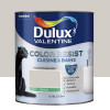 Peinture acrylique Dulux Valentine Color Resist Cuisine & Bains Galet - 0,75L