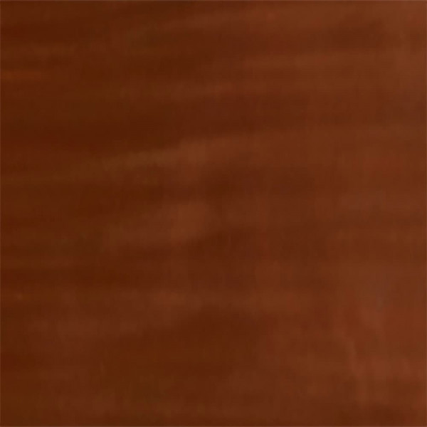 Lasure Tech-Wood BLANCHON Chêne moyen - teinte