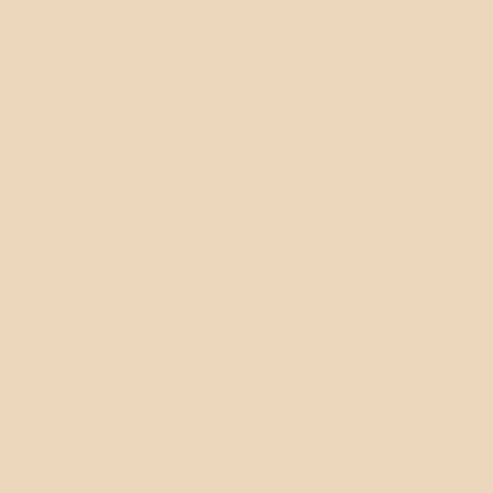 Peinture DULUX VALENTINE Ecran+ Bois Sable clair - couleur