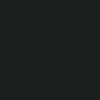 Testeur Laque brillant Dulux Valentine Valénite Noir - couleur