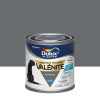 Testeur Laque brillant Dulux Valentine Valénite Gris Anthracite - 0,125L