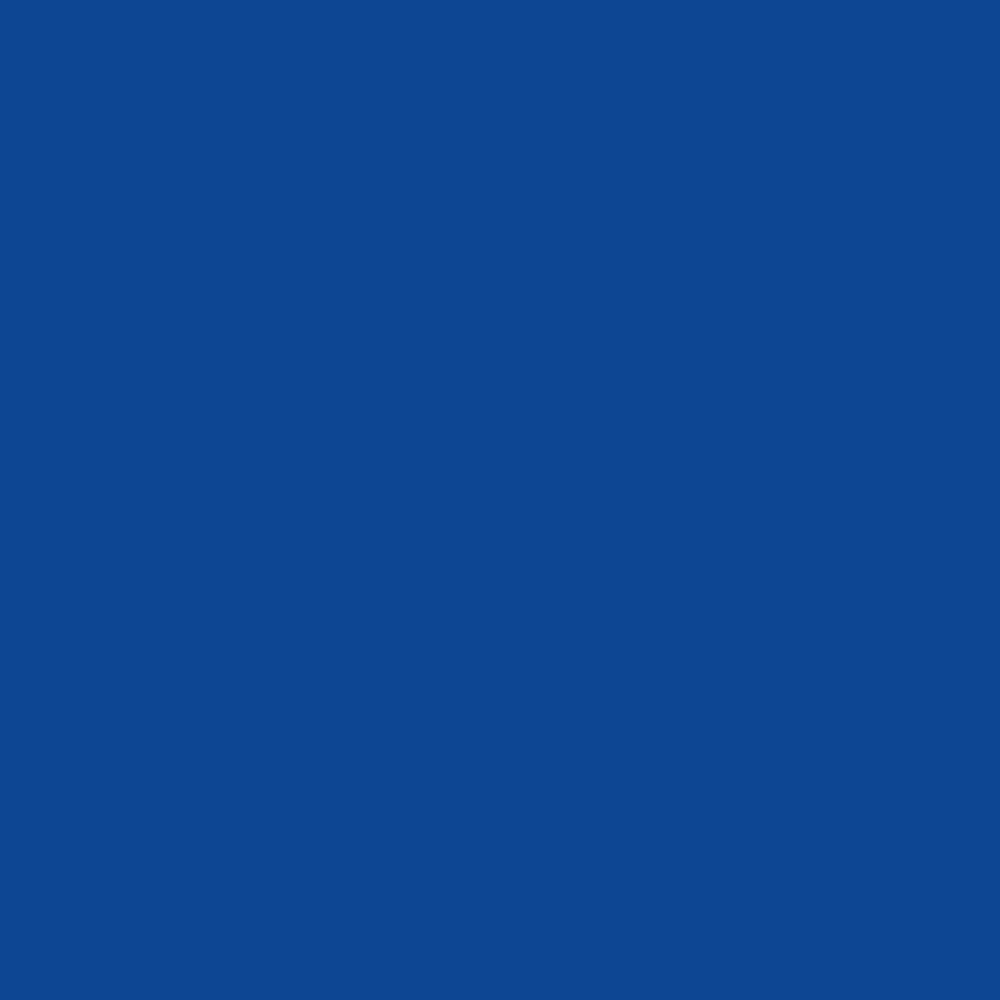 Peinture Aérosol BRAVO NESPOLI - Bleu Saphir (600ml) - couleur Peinture Aérosol BRAVO NESPOLI - Bleu Saphir (600ml) - couleur