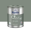 Peinture Murs, Boiseries, Radiateurs RIPOLIN OPur Satin velouté Vert nobile NP