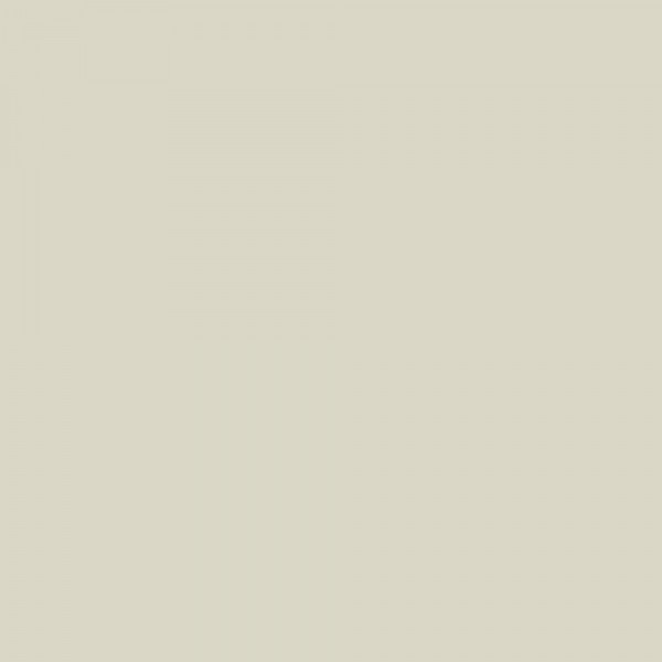 Peinture multi-supports NUANCE MonoCrème Satin Chou blanc - couleur