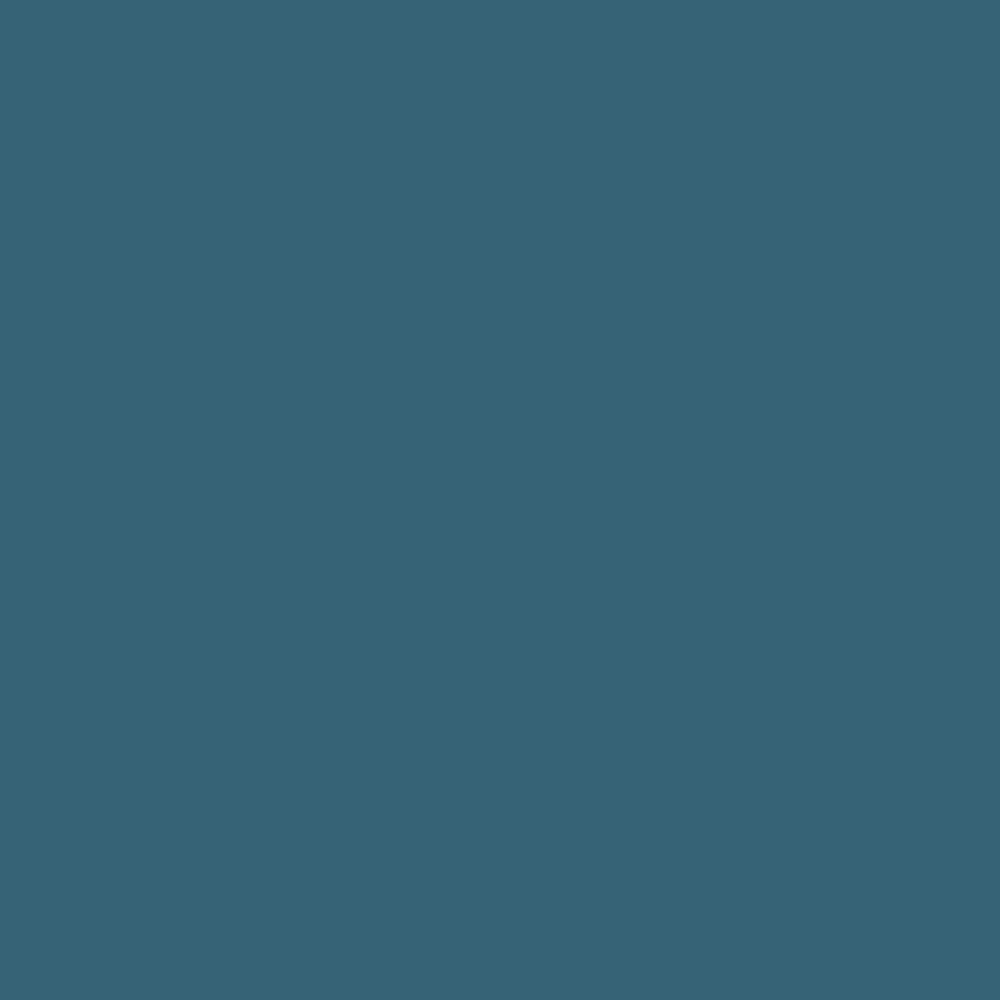 Peinture intérieure V33 Colorissim Satin Canard - couleur