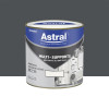 Peinture multi-supports extérieur ASTRAL Gris Sombre - 0,5L
