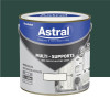 Peinture multi-supports extérieur ASTRAL Vert Pays Basque - 2L