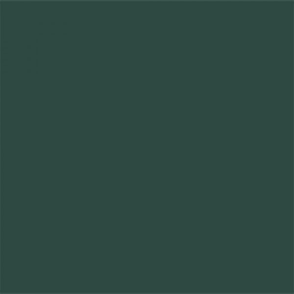 Peinture multi-supports extérieur ASTRAL Vert Pays Basque - couleur