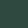 Peinture multi-supports extérieur ASTRAL Vert Pays Basque - couleur
