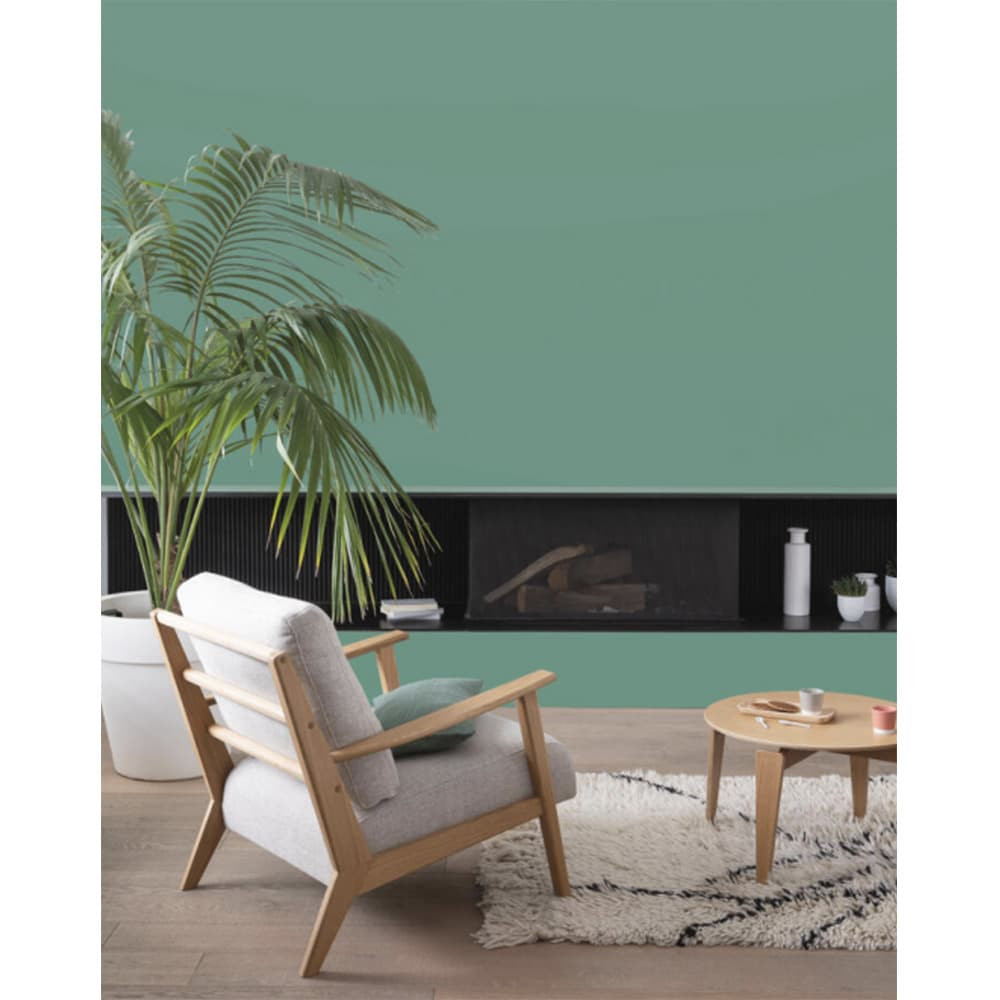 Peinture intérieure V33 Colorissim Satin Cactus - ambiance
