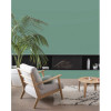 Peinture intérieure V33 Colorissim Satin Cactus - ambiance